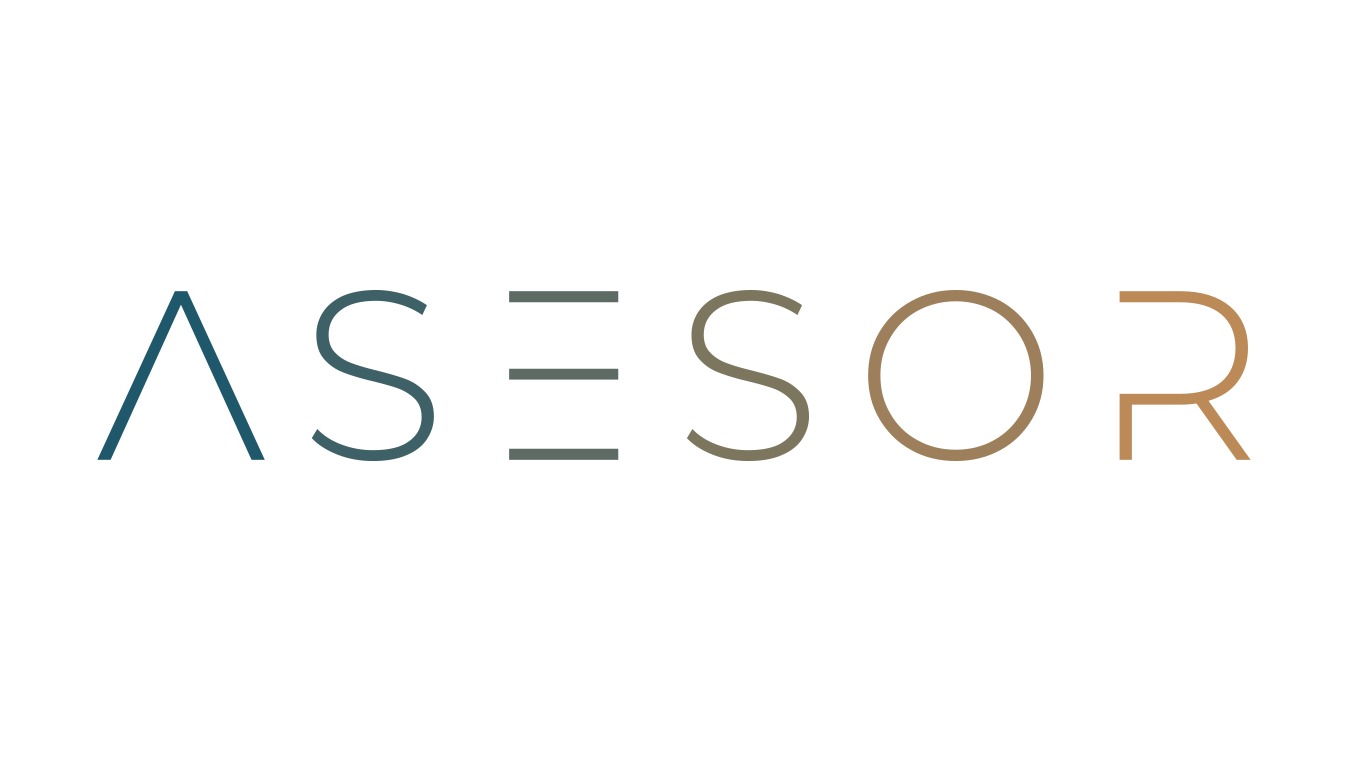 ASESOR CONSULTORIA